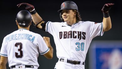 August 16th Diamondbacks vs Rays